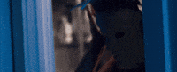 lakegeorgemovie liberty statue of liberty lake george lake george movie GIF