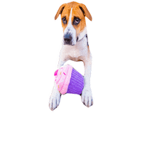 Pink Puppy Sticker by Taylor Starcher