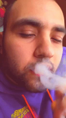 btnrs giphygifmaker GIF