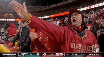 National Football League GIF by NFL