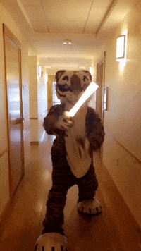 Princeton star wars college university mascot GIF
