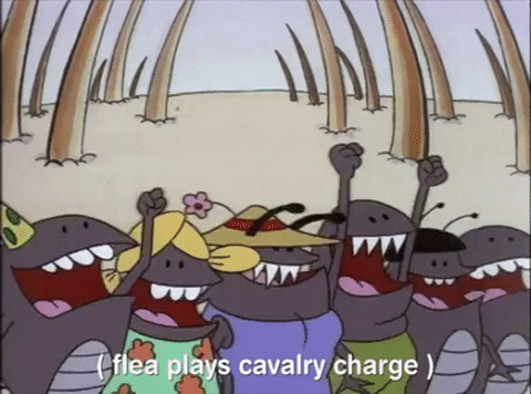nicksplat GIF