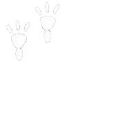 karlialae walking paws steps pasos Sticker