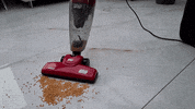 wapoficial clean speed GIF