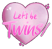 Twins Watts Sticker by LINDSI LANE STYLE