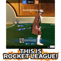 Video Game Rl Sticker