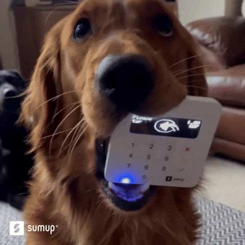 News Sebrae – Edição 63 o i Gif de um cachorro da raça Golden Retriver com uma maquinha de cartão na boca, e aparece uma mão com um cartão de crédito se aproximando da máquina.