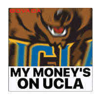 Ucla Bruins Sticker by Bovada
