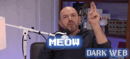 Paul Scheer Cat GIF by Dark Web