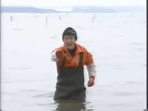 UmaizaAmazing giphygifmaker GIF