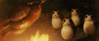 the last jedi bbq GIF by Star Wars