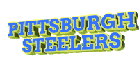 Pittsburgh Steelers Football Sticker by GIPHY Text
