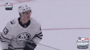 nhl sports sport hockey nhl GIF