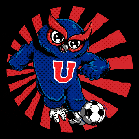 Football Soccer GIF by Club Universidad de Chile Oficial