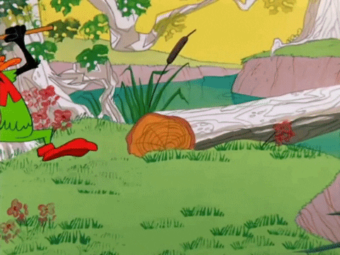 scottmonty giphygifmaker robin hood daffy duck looney toons GIF