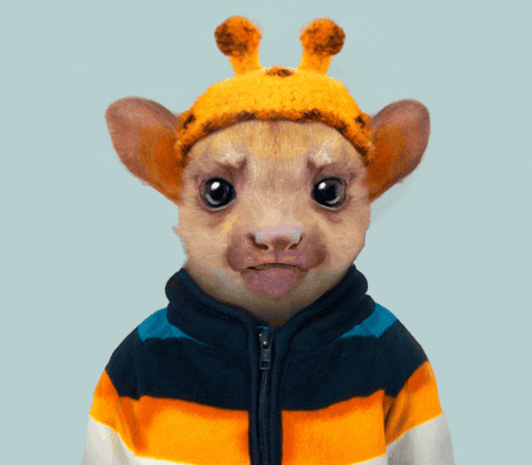baby animal GIF