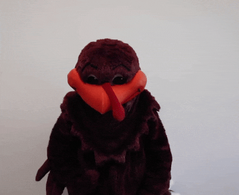 Muscle GIF by Virginia Tech