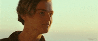 Leonardo Dicaprio GIF by Samantha