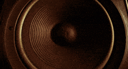 bass GIF