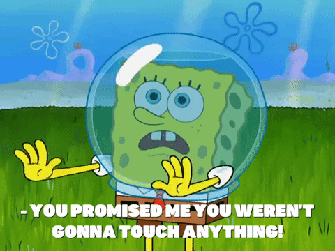 season 8 episode 13 GIF by SpongeBob SquarePants