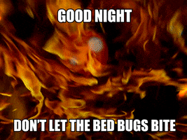 Night Dont Let The Bed Bugs Bite GIF by Sealed With A GIF