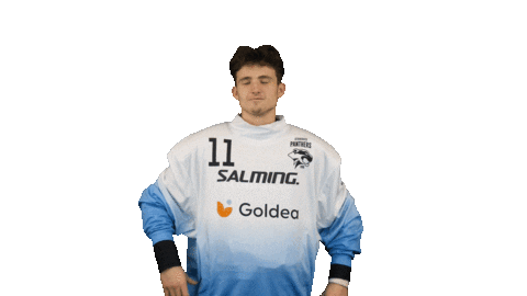 Florbal Sticker by Panthers Otrokovice