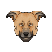 Dog Crossbreed Sticker