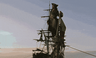 pirates curse GIF
