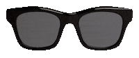 Try On Dan Levy Sticker by DL Eyewear