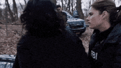 fbi fbifam GIF by CBS
