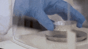 sample lab GIF by UVic Campus Life