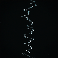 glow black and white GIF by Erica Anderson