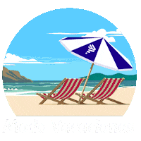 Travel Fly Sticker by LATAM Airlines