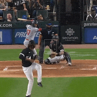 Regular Season Lol GIF by MLB