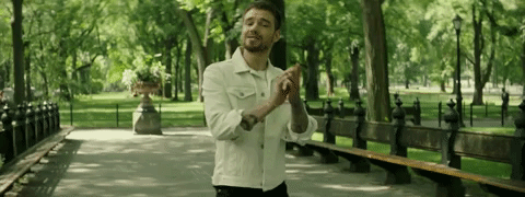 polaroid GIF by Liam Payne