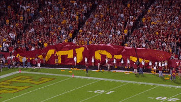 cyclonestv  GIF