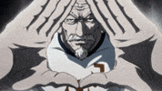bruno1712 hxh hunterxhunter netero GIF