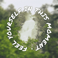 M-a-ex nature green water canada GIF