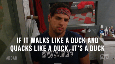 Big Brother Pop GIF by Big Brother After Dark