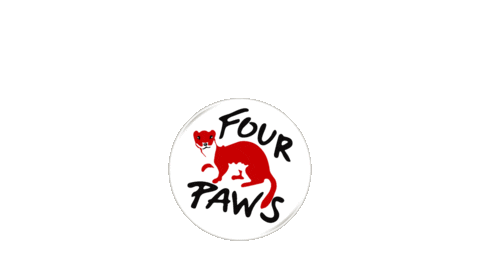 Ngo Sticker by FOUR PAWS