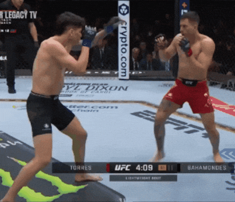 Ufc Chile GIF
