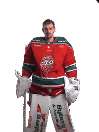 Sticker by MoDo Hockey