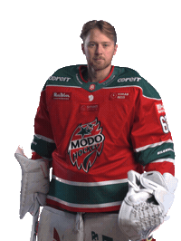 Sticker by MoDo Hockey