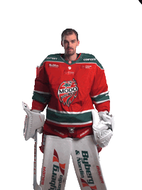 Ice Hockey Hockeyallsvenskan Sticker by MoDo Hockey