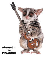 nikoand_official bushbaby ニコアンド nikoand pizzatoru Sticker