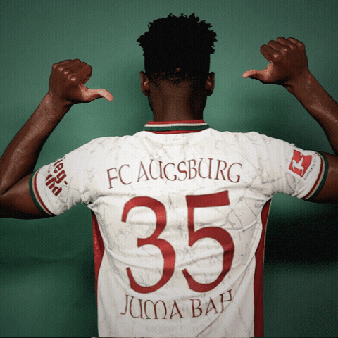 Bundesliga GIF by FC Augsburg 1907