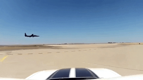 tudorrus giphygifmaker GIF