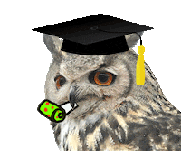 Owl Graduation Sticker by Háskóli Íslands
