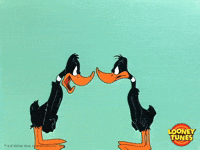 angry daffy duck GIF by Looney Tunes