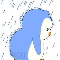 Sad Cry Sticker by Pudgy Penguins